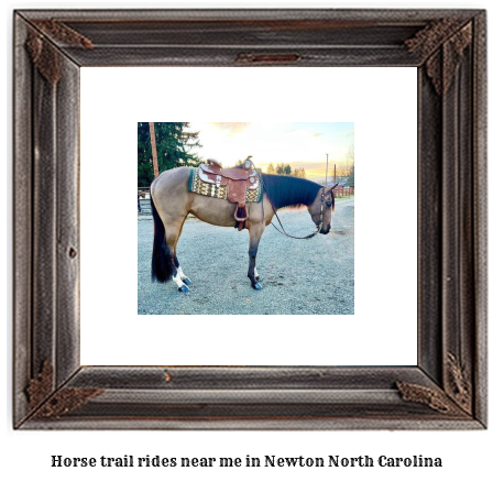 horse trail rides near me in Newton, North Carolina